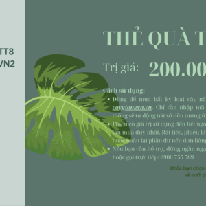 Phiếu quà tặng 200.000