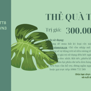 Phiếu quà tặng 300000