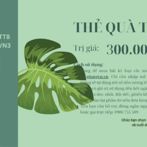 Phiếu quà tặng 300000